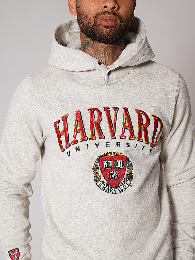 Hoodie harvard hot sale